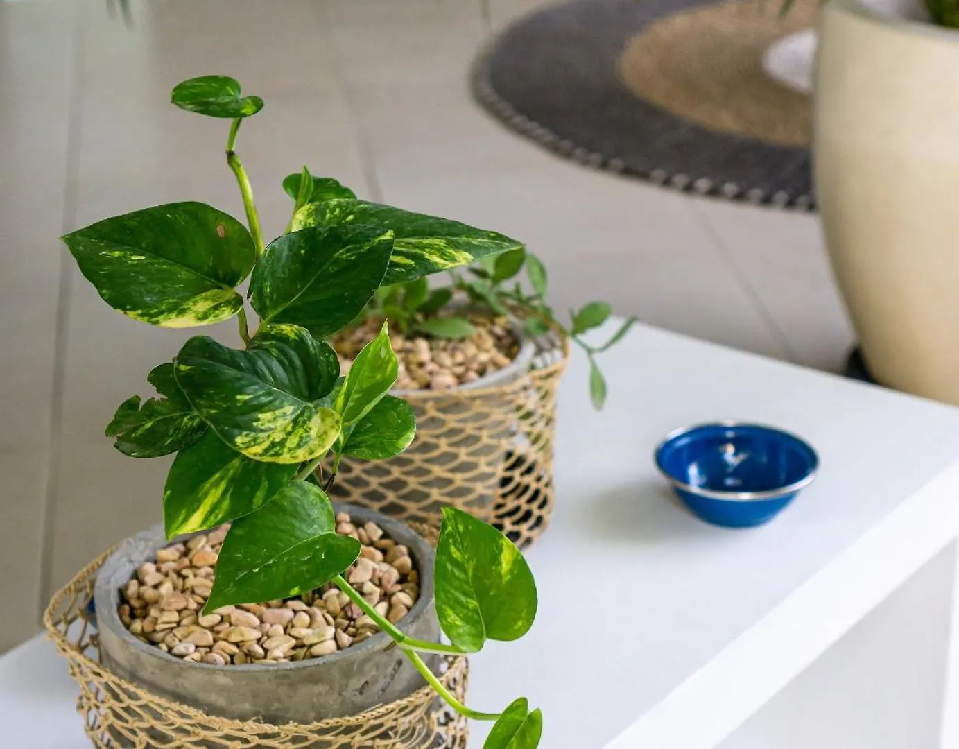 Villa Domi - Cozy & Budget-Friendly 1Br Honeymoon Villa In Seminyak With Private Pool 0*,